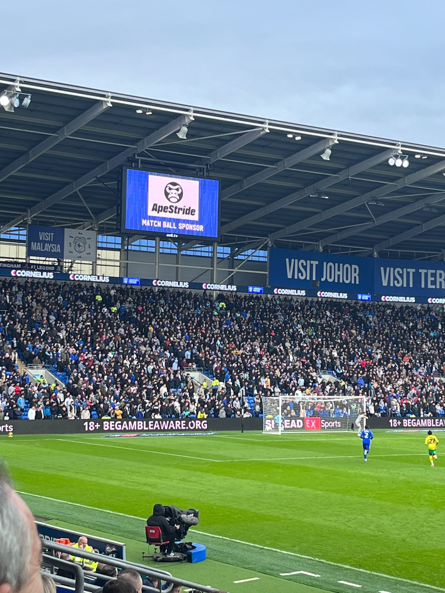 Ape Stride sponsor at Cardiff city FC